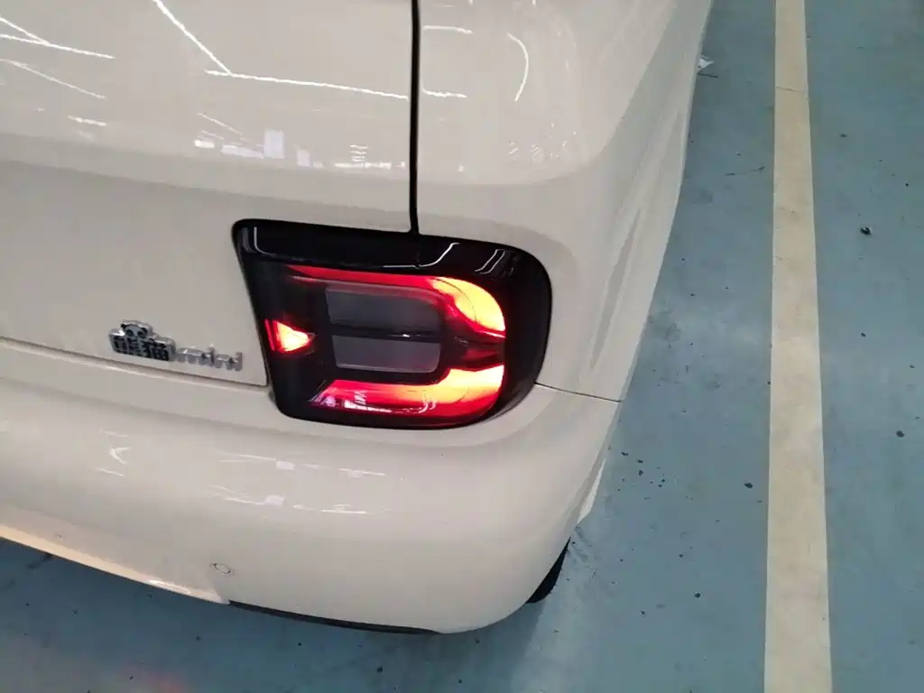Geely Galaxy Panda 2026 2025 Panda mini 210km Vitality Bear