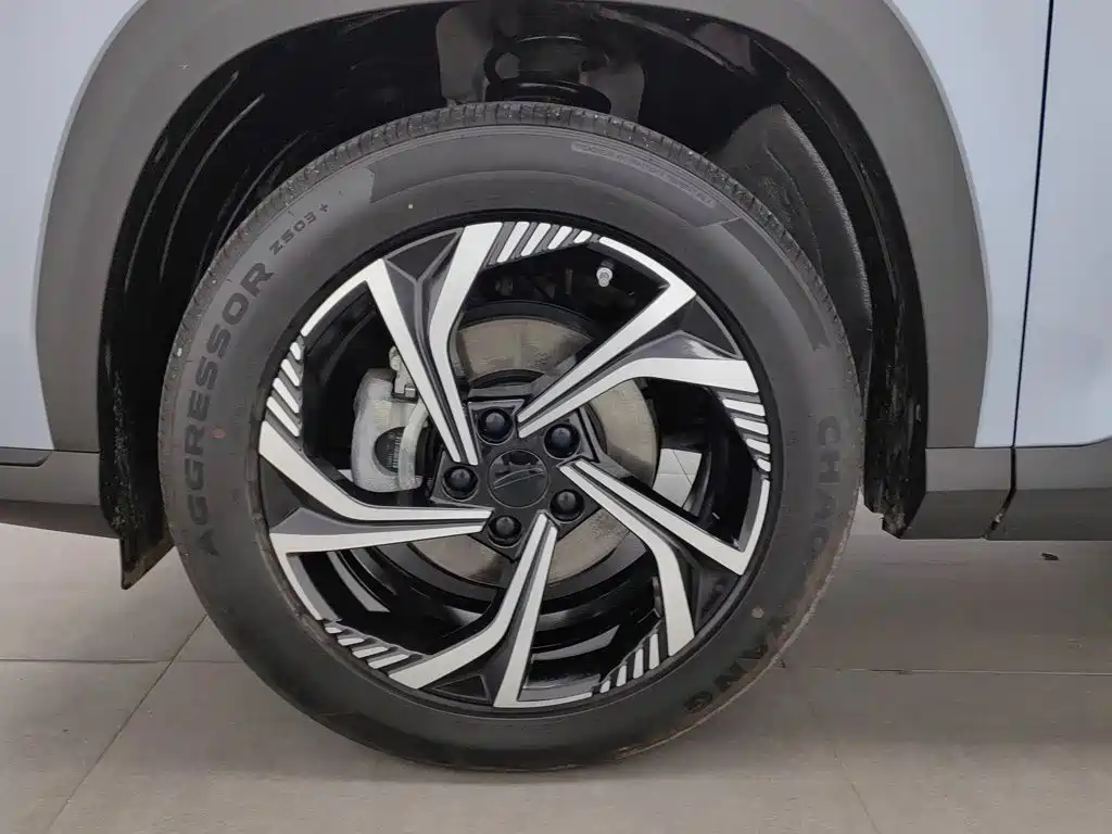 Photo 17 - Geely Atlas