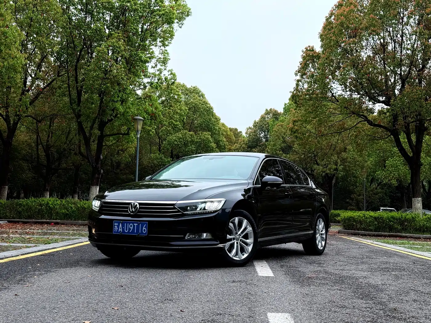 Volkswagen Magotan 2018 330TSI DSG Luxury