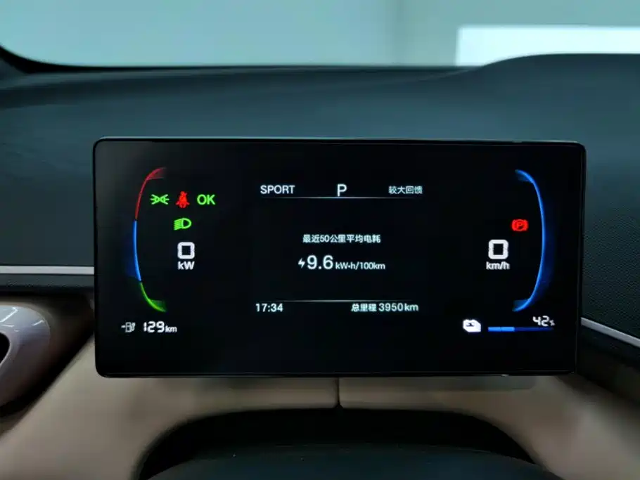 BYD Seagull 2026 2025 Smart Drive Edition 305km Vitality Version