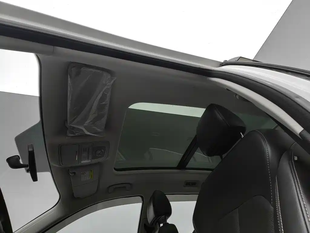 Roewe RX8 2022 2019 30T 2WD Flagship Edition