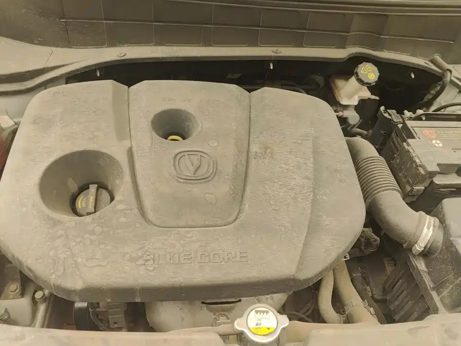 Changan CS35 PLUS 2019 2019 1.6L Automatic Smooth Connect Edition