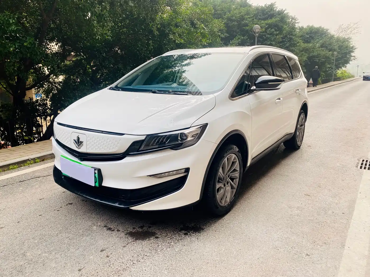 RUILAN AUTOMOBILE MAPLE LEAF 80V PRO