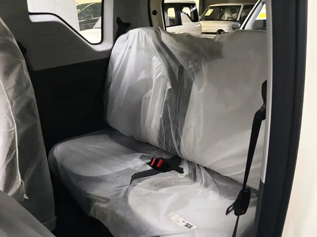 Geely Galaxy Panda 2026 2025 Panda mini 210km Vitality Bear