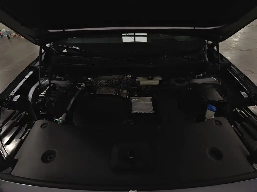 Photo 6 - Hongqi HS6 PHEV