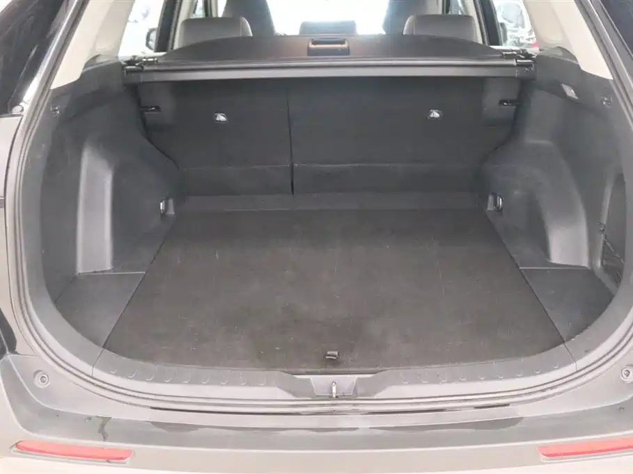 Toyota RAV4 Rongfang 2020 2.0L CVT 4WD Fashion PLUS фото 17