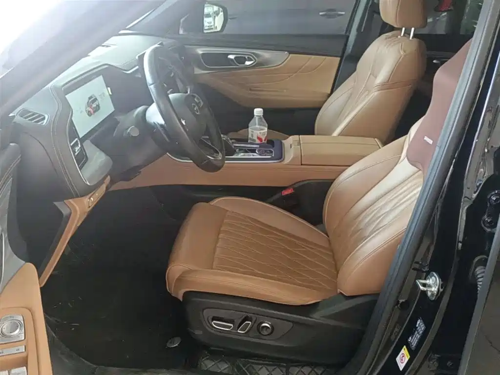 GAC Trumpchi Trumpchi GS8 2024 Navigator Series 2.0TGDI 2WD Luxury Smart Connect Edition фото 15