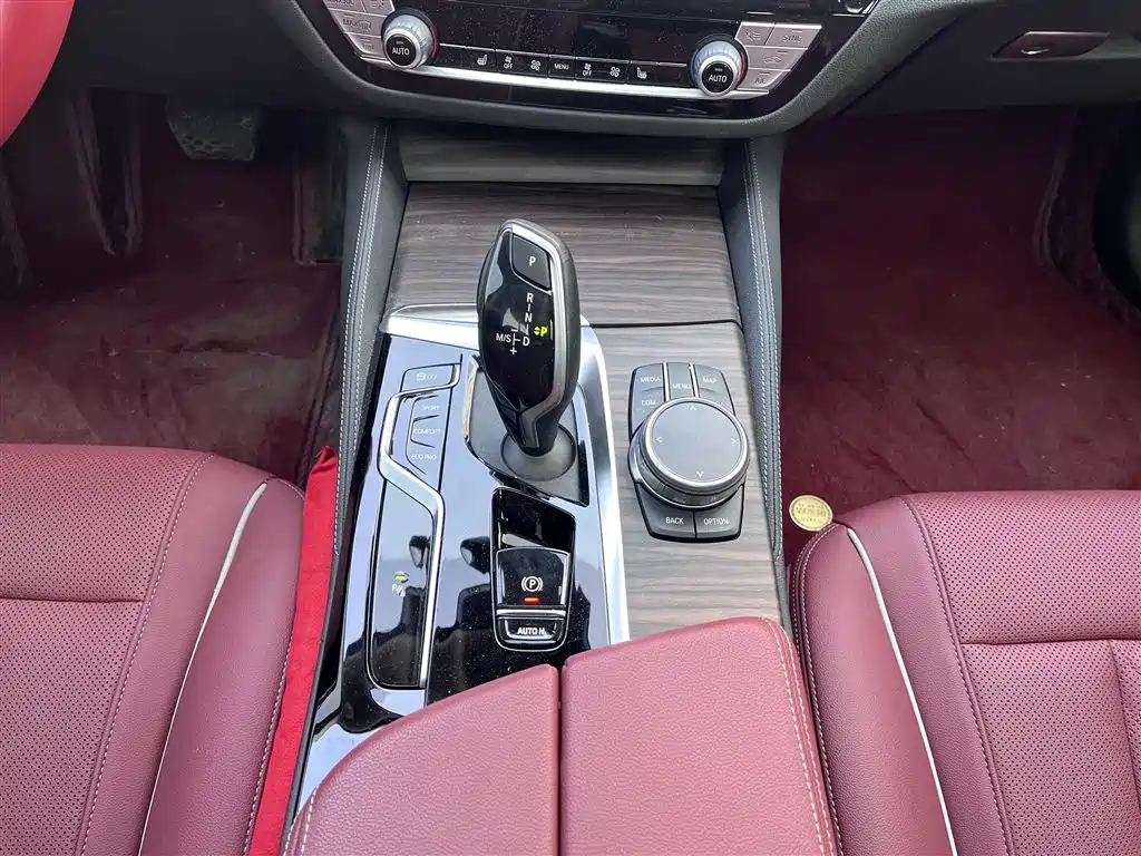 BMW 5 Series 2022 530Li Leading Luxury Package фото 10