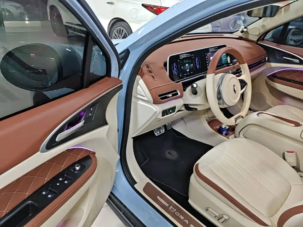 Ora Good Cat 2024 2023 401km Standard Range Luxury LFP