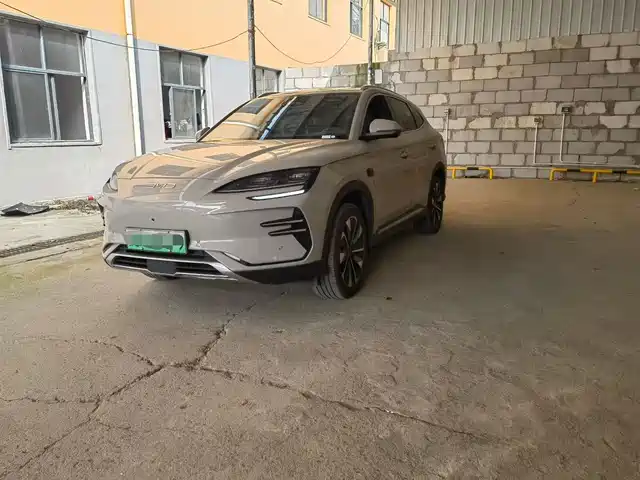 BYD SONGJIANG NEW ENERGY