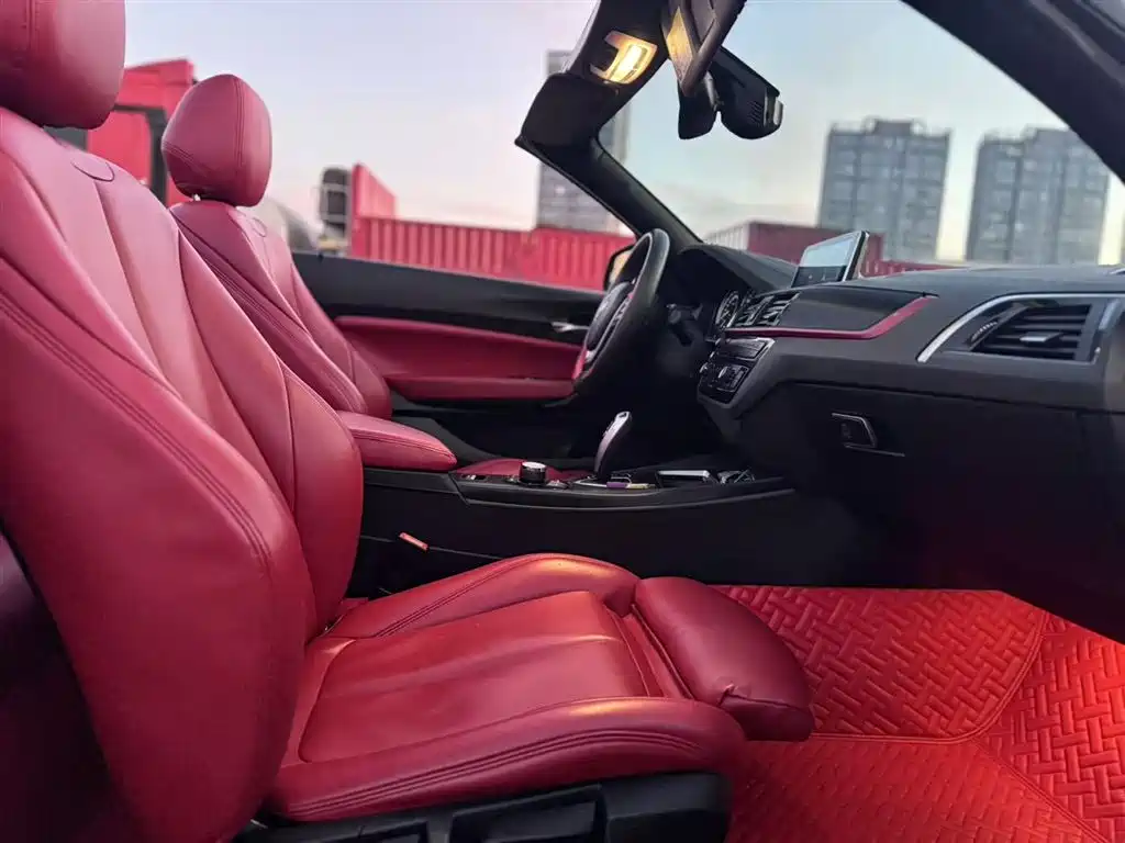 BMW 2 Series (Import) 2018 220i Convertible Coupe Sport Design Package фото 25