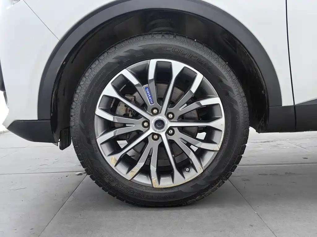 Фото 17 - Haval H6