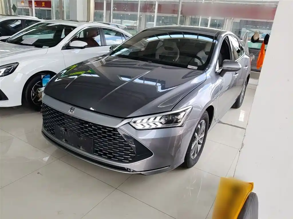 BYD Qin PLUS 2024 Glory Edition DM-i 55KM Leading