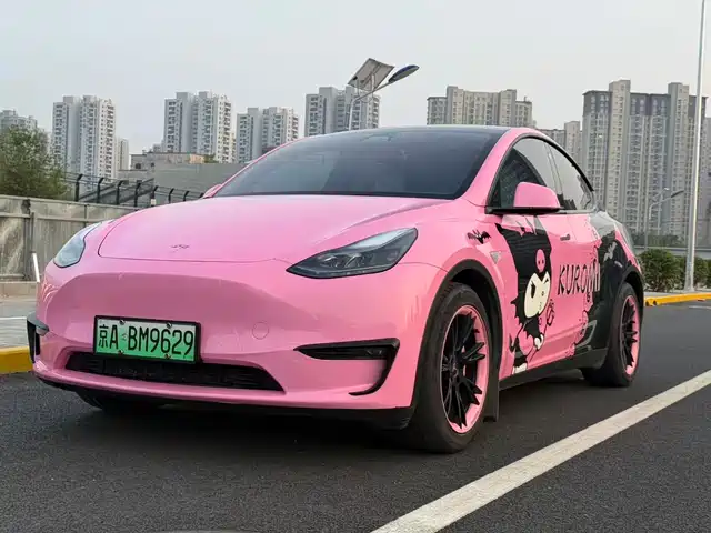 Tesla Model Y 2021 Standard Range Rear-Wheel Drive