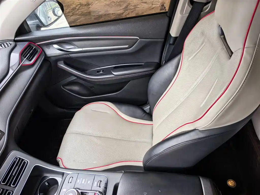 BYD Destroyer 05 2023 Champion Edition DM-i 55KM Luxury фото 13