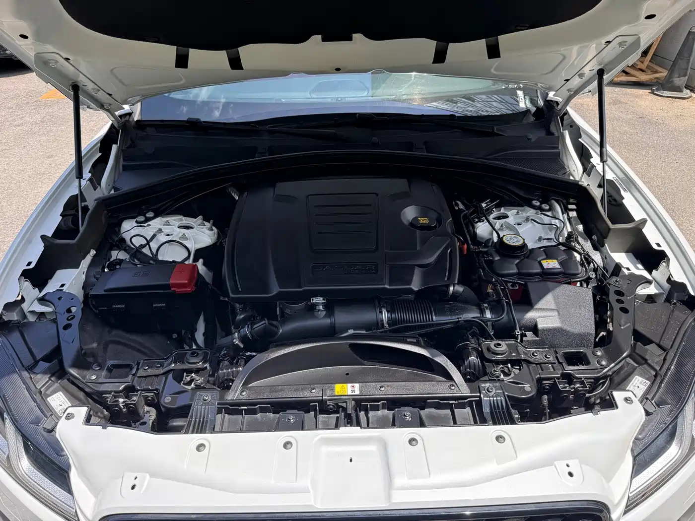 Jaguar F-PACE 2024 2024 P250 R-Dynamic SE