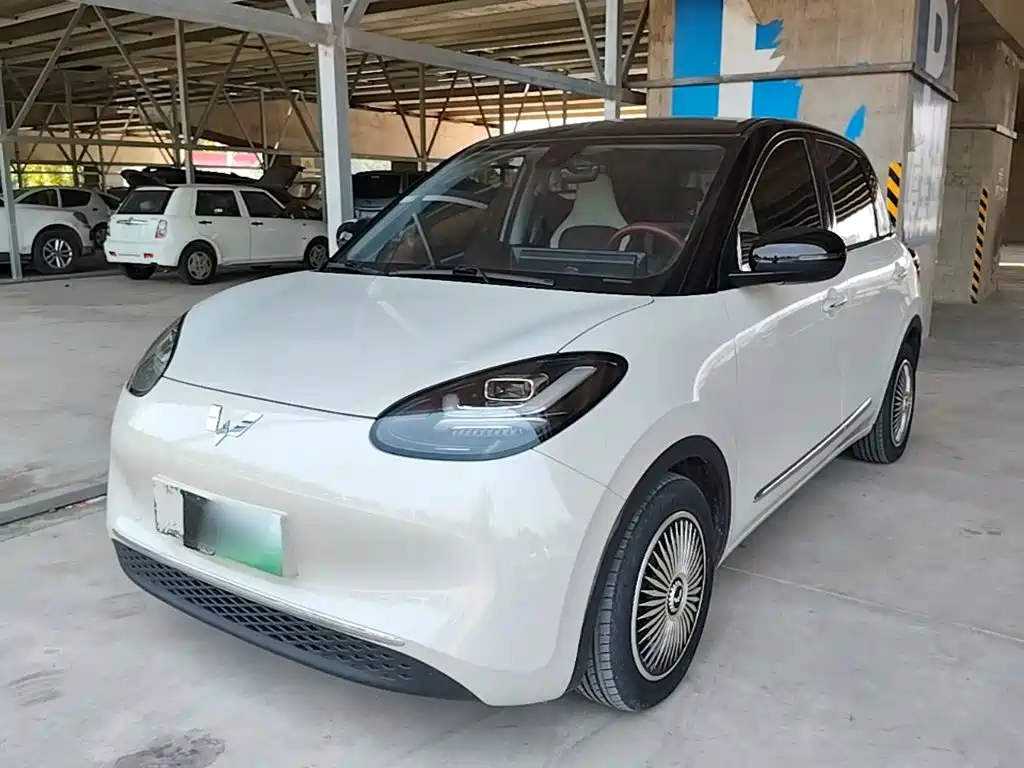 Wuling Motors Wuling Bingo 2023 203km Comfort Version