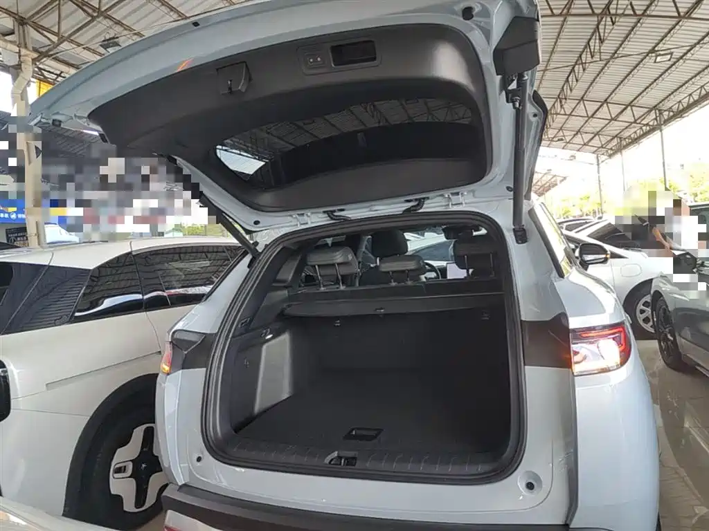 BYD Song L DM-i 2025 Smart Drive 160km Premium фото 19