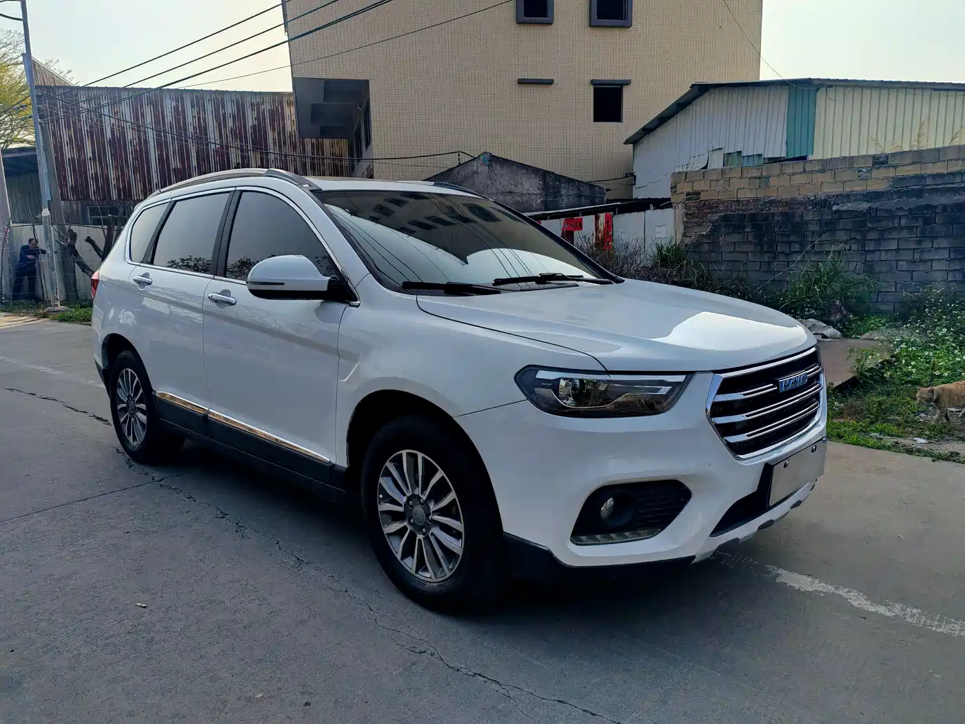 Haval H6 2017 Blue Label Sport 1.5T Auto 2WD Luxury фото 3