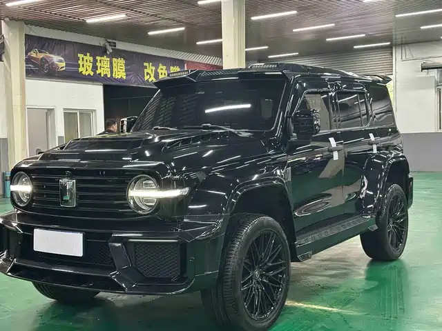 TANK 300