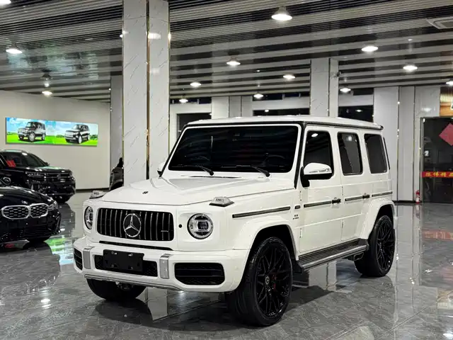 MERCEDES-BENZ G CLASS