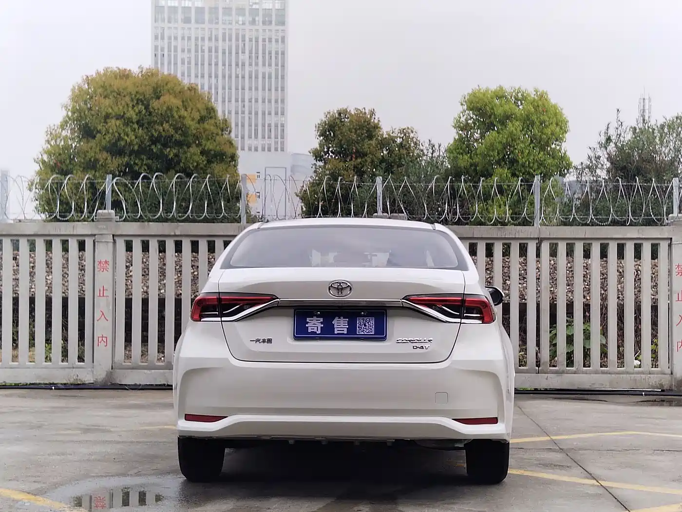 Toyota Corolla 2023 1.2T Pioneer Edition фото 8