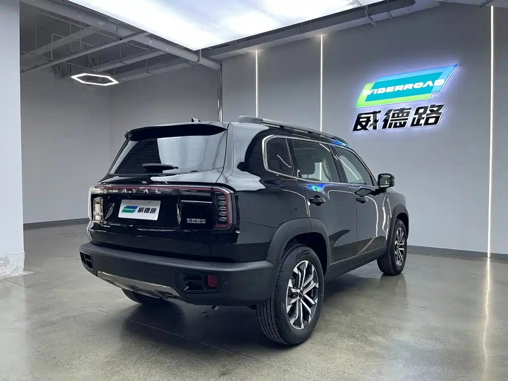 Фото 6 - Haval Dargo
