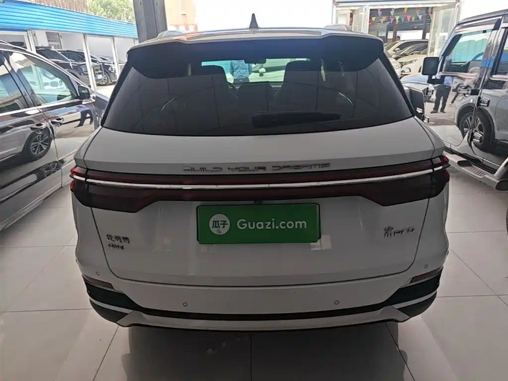 BYD Song Pro New Energy 2022 DM-i 51km Premium фото 6