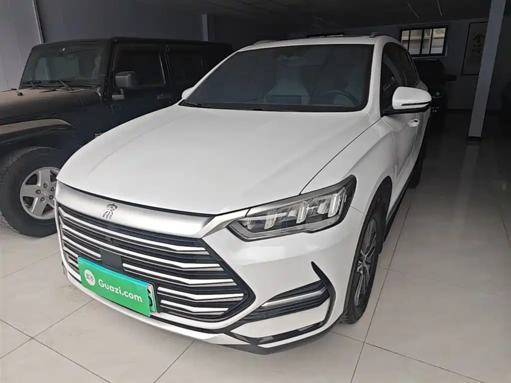 BYD Song Pro New Energy 2022 DM-i 51km Premium фото 2
