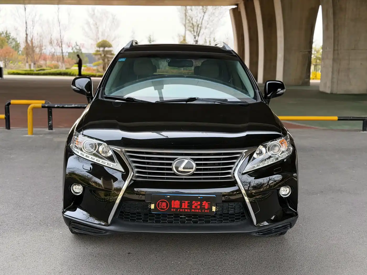 Lexus RX Classic 2014 270 Special Limited Edition фото 2