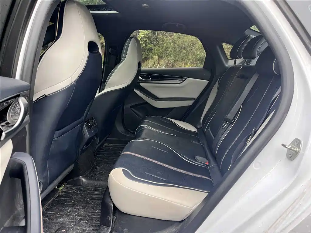 BYD Qin PLUS 2023 Champion Edition DM-i 120KM Excellence фото 5