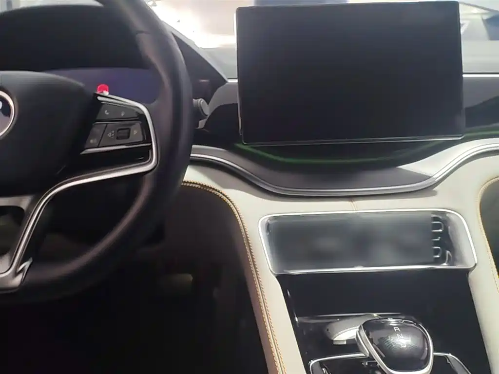 BYD Song PLUS PHEV 2021 DM-i 110KM Flagship PLUS фото 10