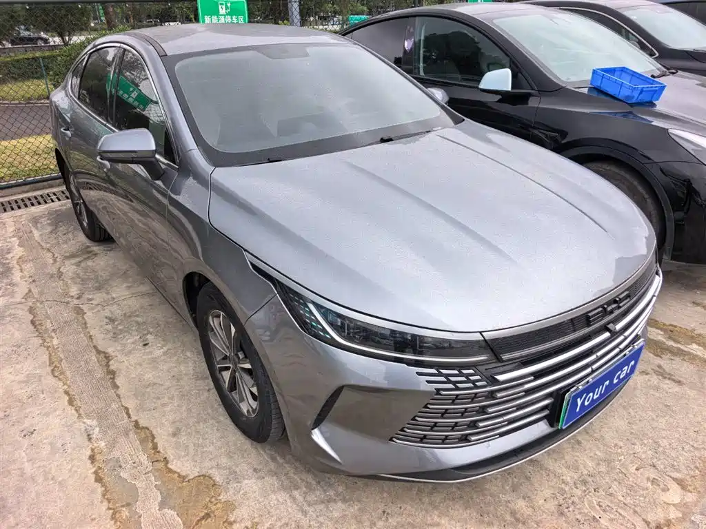 BYD Destroyer 05 2023 Champion Edition DM-i 55KM Luxury фото 3
