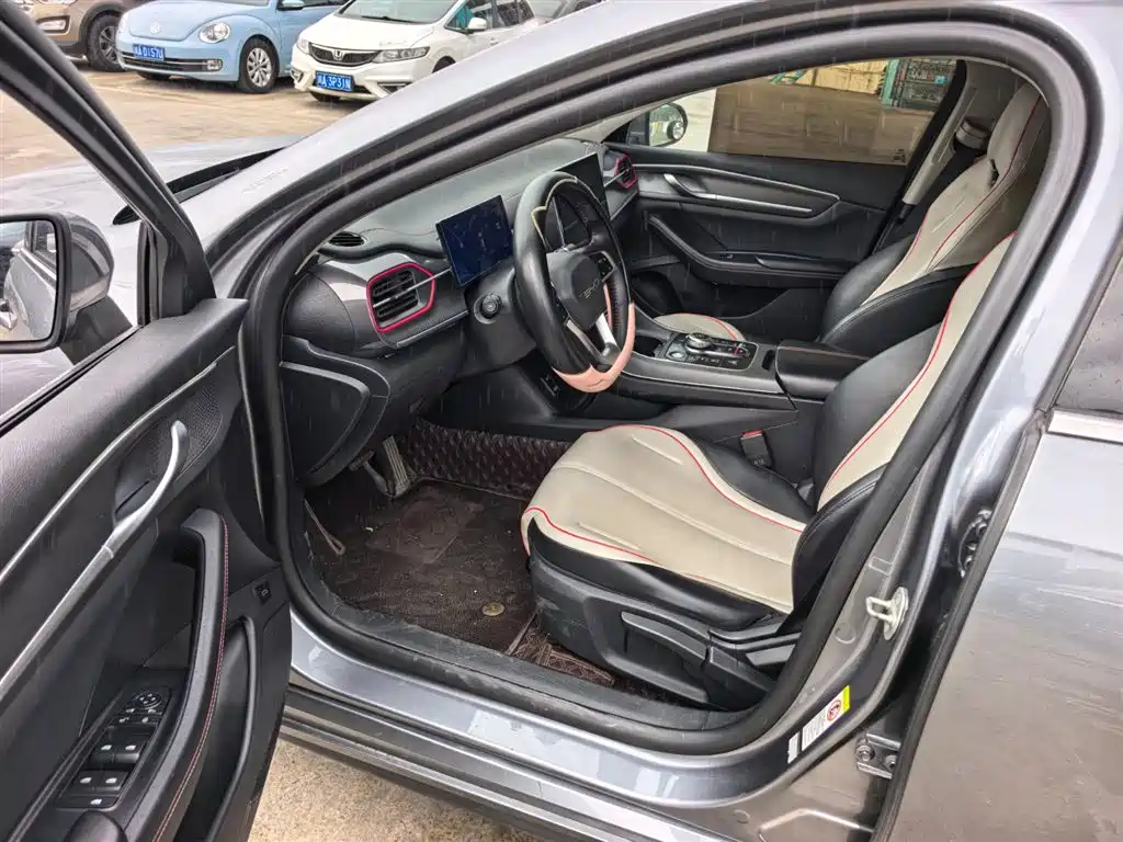 BYD Destroyer 05 2023 Champion Edition DM-i 55KM Luxury фото 10