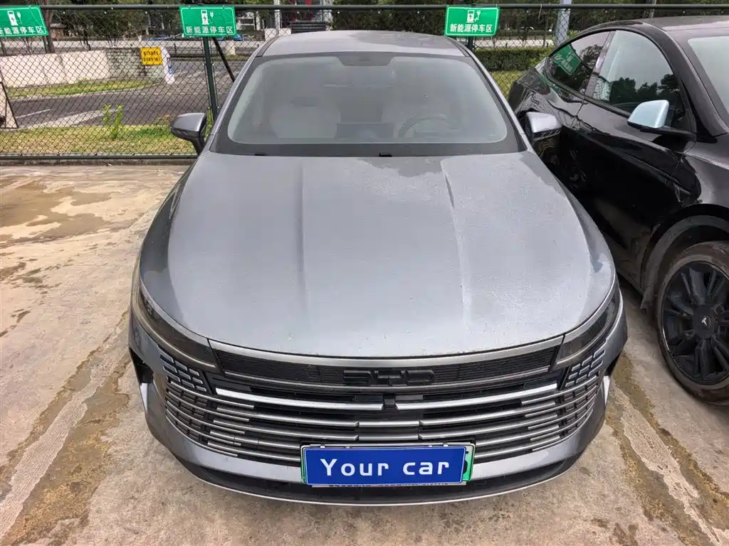 BYD Destroyer 05 2023 Champion Edition DM-i 55KM Luxury фото 2