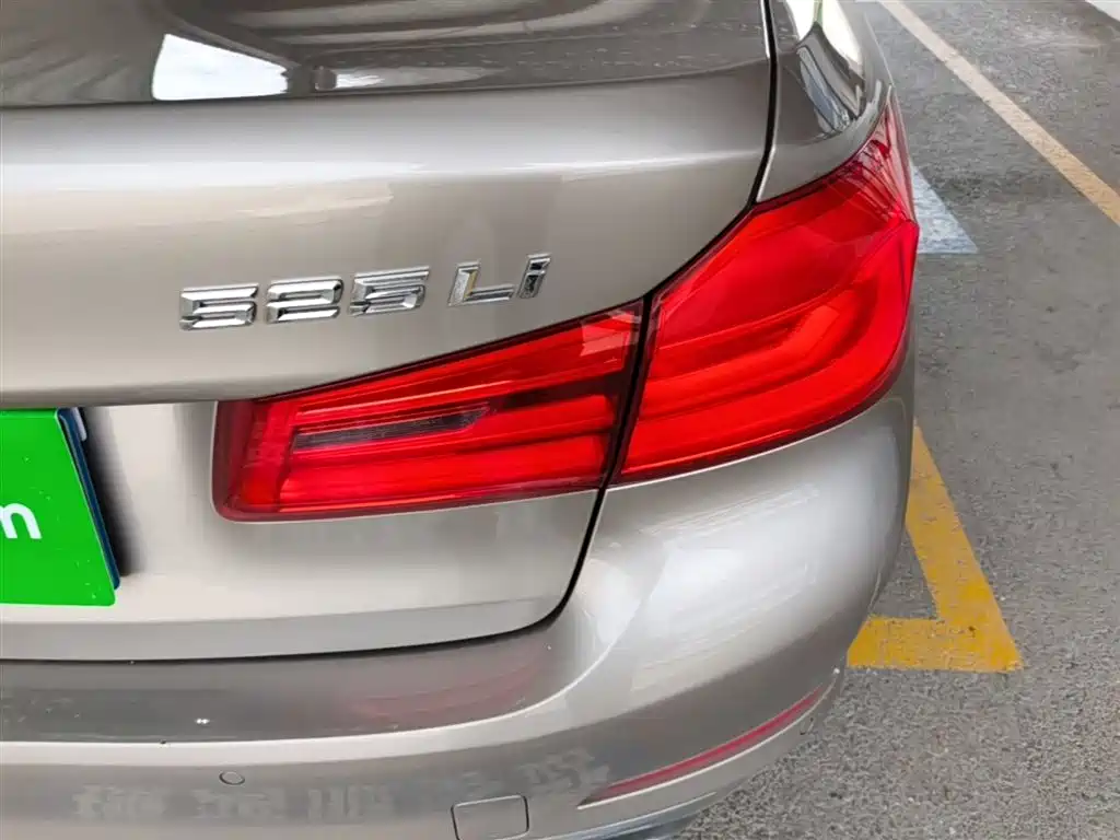 BMW 5 Series 2020 525Li Luxury Package фото 8