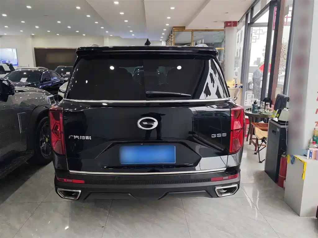 GAC Trumpchi Trumpchi GS8 2022 Pilot Series 2.0TGDI 2WD Luxury Smart Connect Edition (7-Seater) фото 5