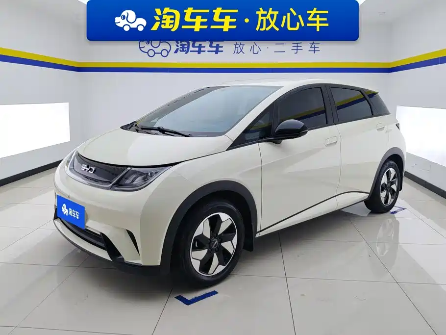 BYD Dolphin 2025 420km Freedom Edition