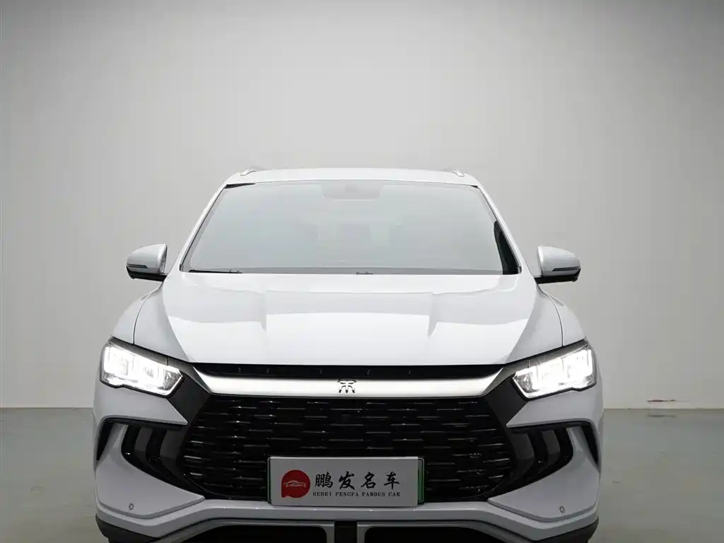 BYD Song Pro New Energy 2024 Glory Edition DM-i 71KM Pilot фото 2