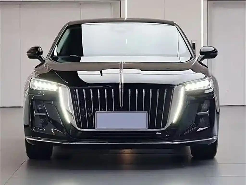 Hongqi H5 2023 2.0T Auto Smart Connect Flag Comfort фото 2