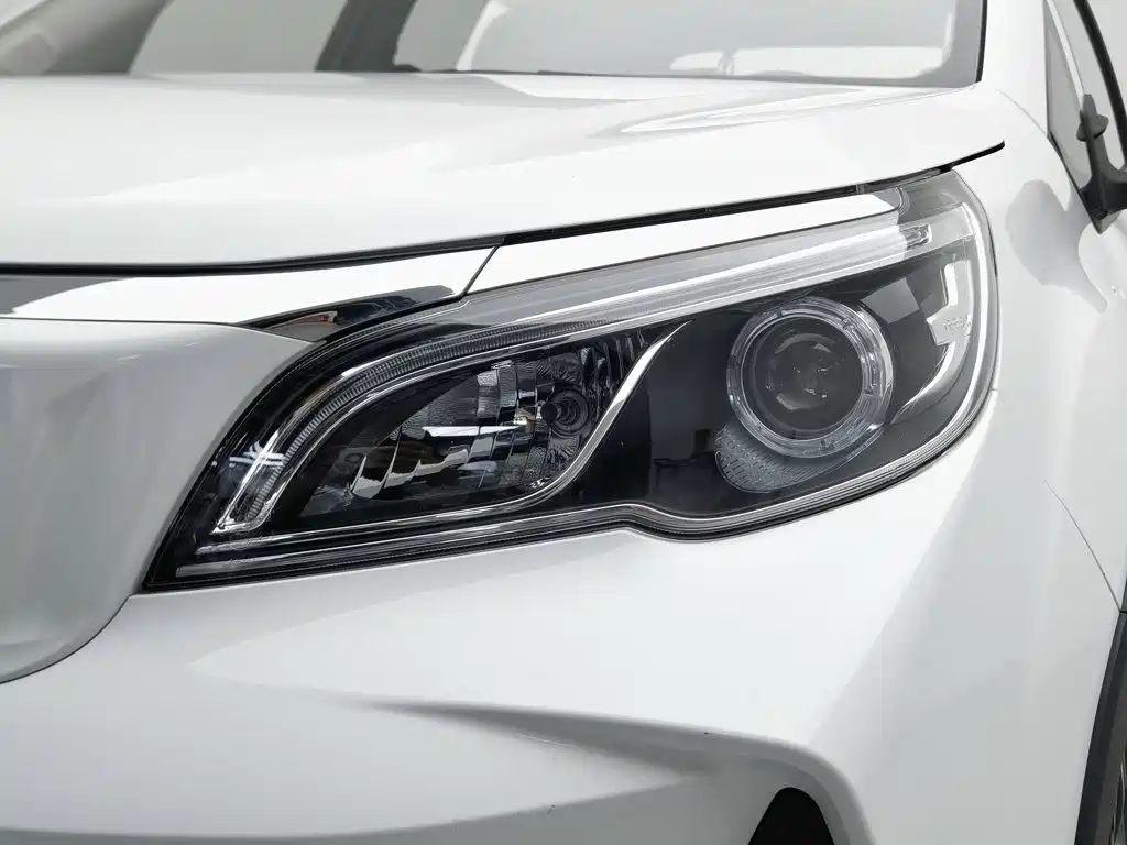 Geely Geometry EX3 Kung Fu Bull 2021 2021 Strong Bull