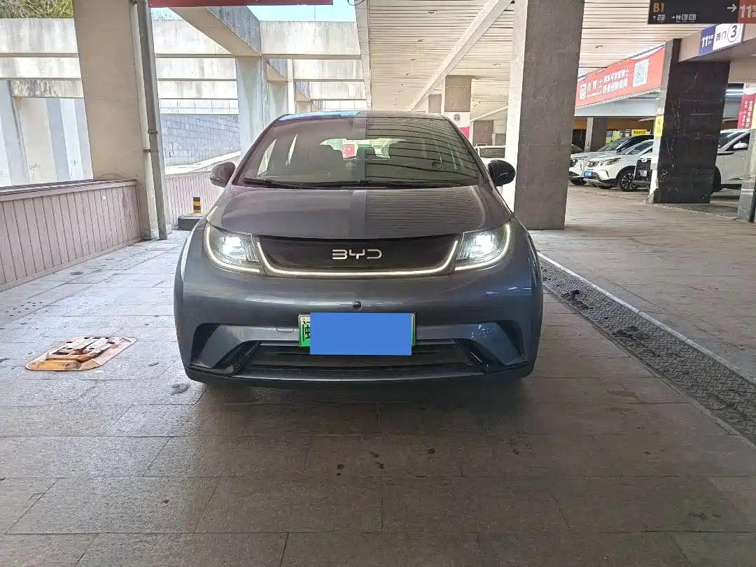 BYD DOLPHIN