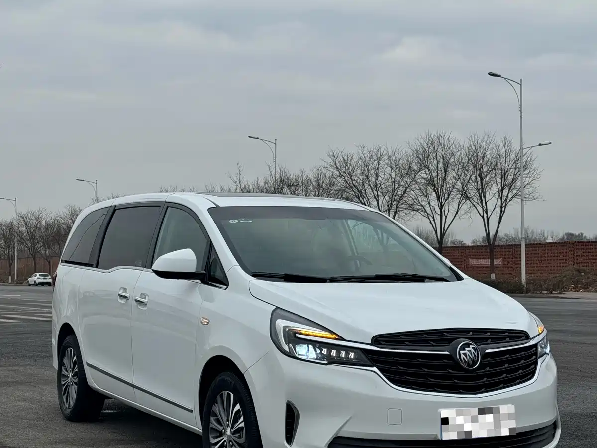 Buick GL8 2020 Model Land Business Class 652T Luxury