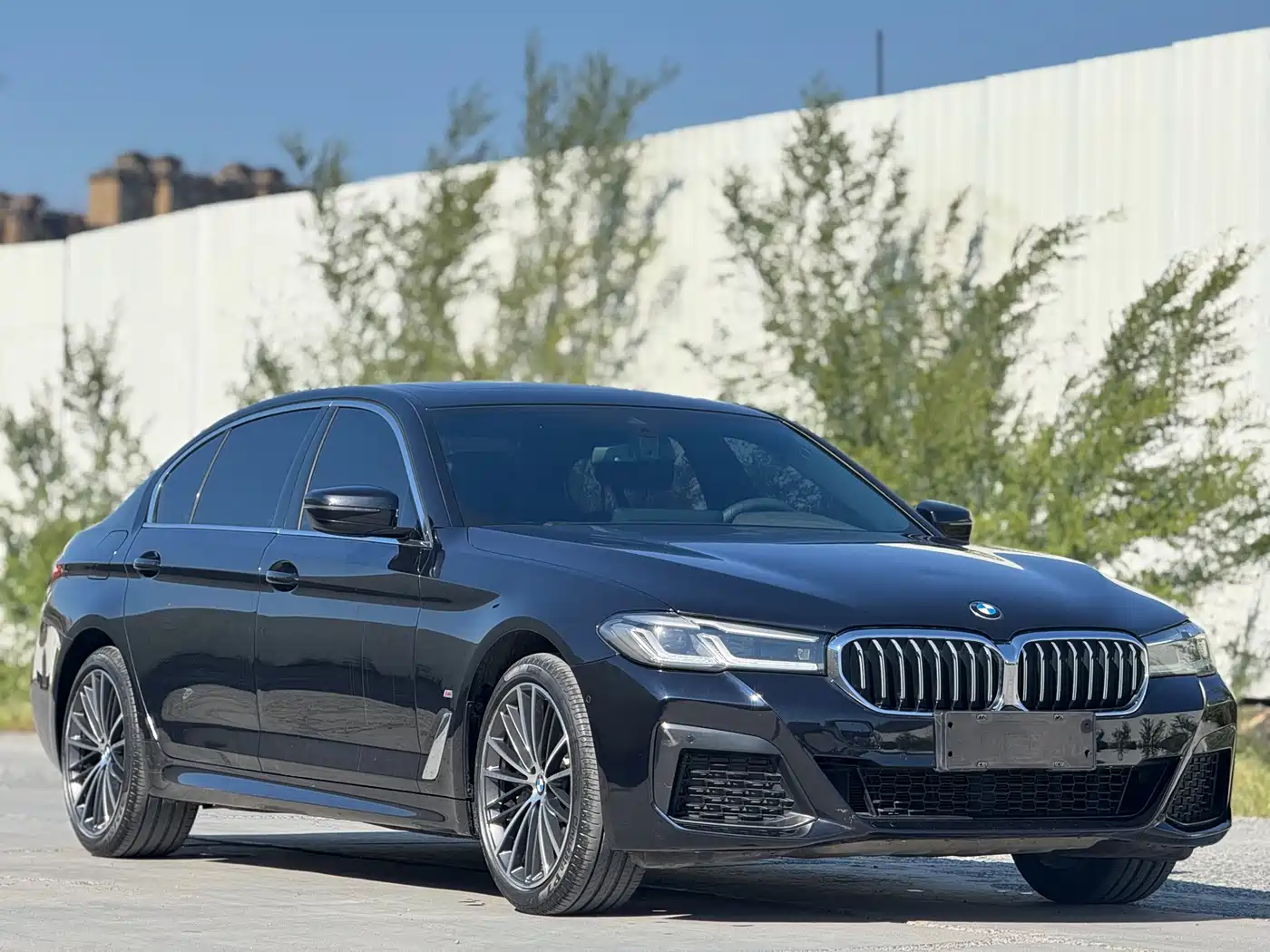 BMW 5 Series 2021 530Li Leading M Sport Package фото 3