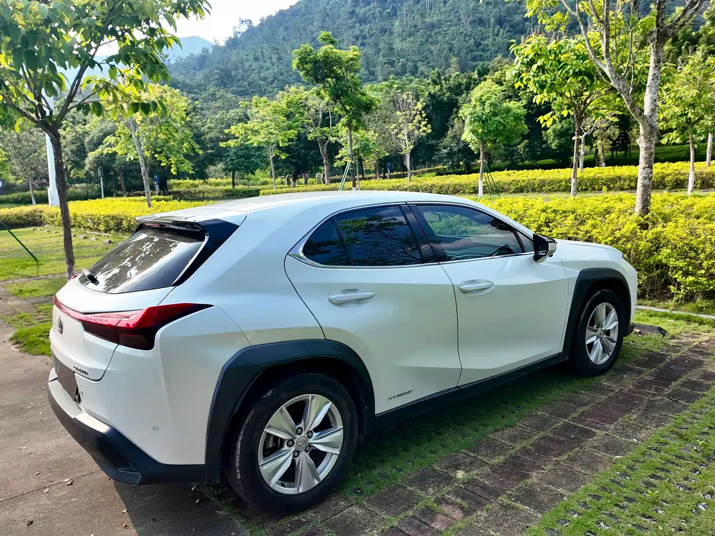 Lexus UX 2019 2019 260h Explorer Cool Edition (China V)