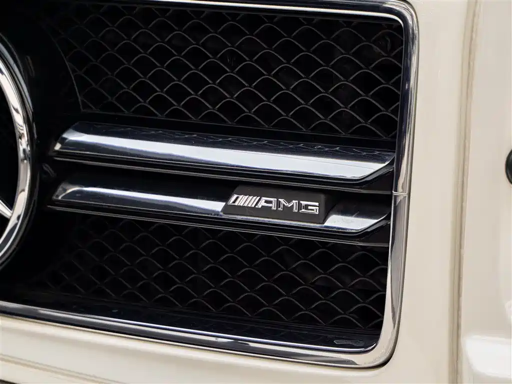 Mercedes-Benz G-Class AMG 2016 Model AMG G 63 Edition 463 фото 15
