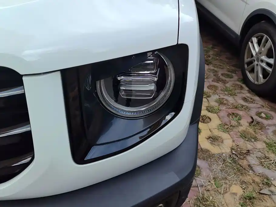 Haval Dargo 2021 2021 1.5T DCT 2WD Malinois - Wangcai Edition