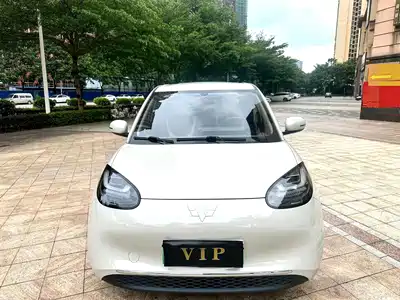 Wuling Bingo