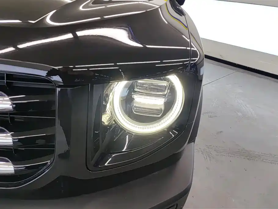 Haval Big Dog 2021 1.5T DCT 2WD Border Collie Edition фото 5