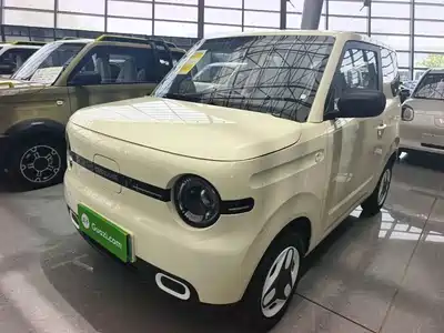 Geely Panda